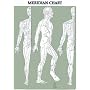 Acupuncture Chart