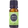 Birch 100% Pure Therapeutic Grade Essential Oil- 10 ml