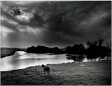 Horse gazing at the sea Normandy photographic art print 50x70cm by Olivier Meriel