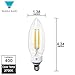 Triangle bulbs 4W LED Candelabra Light Bulbs Equivalent to 40W Incandescent Bulb The Perfect Chandelier led Light Bulbs, E12 Base Warm White 2700K, 400 Lumens,