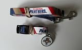 Florida Panthers Dog Pet Set Leash Collar ID Tag XS