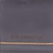 Zoviet France
