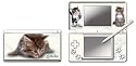 Modding Little Tiger Graphic Skin (Nintendo DS Lite)