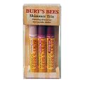 Burt's Bees Lip Shimmer 3-pc. Set