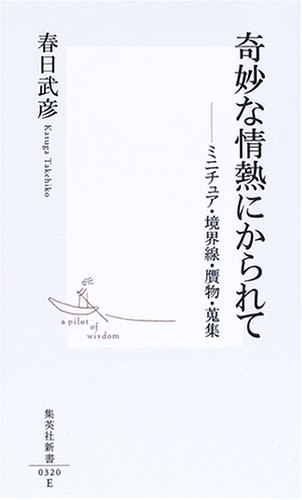 奇妙な情熱にかられて ―ミニチュア、境界線、贋物、蒐集 (集英社新書)