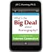 What's the Big Deal About Pornography? A Guide for the Internet Generation
