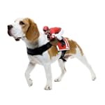 Dog Costumes