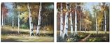 Birch Forest Series by Pitt (24x36 each)