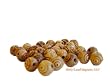 Olive Wood Round Carved Beads 7mm (100 beads)