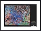 Minneapolis From Space, Framed Art Print