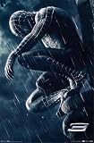 SPIDER MAN 3 SPIDERMAN MOVIE POSTER ON WALL 8974