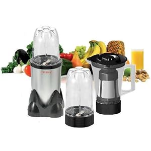 Tayama Multi-Function Food Blender