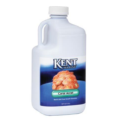 Kent Marine AKMCA64 Coral Accel for Aquarium, 64-Ounce