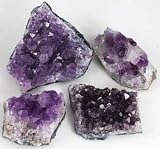 Collection of 12 Amethyst Clusters