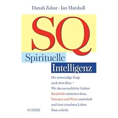 SQ, Spirituelle Intelligenz