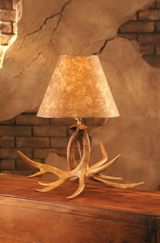 The Whitetail Antler 23