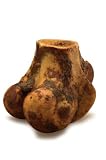 Merrick The Tank Beef Knuckle (10 Cout)