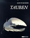 Tauben