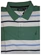 Men's Nautica Short Sleeve Polo Shirt Palm Green with Multi-colored Stripes