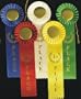 Honorable Mention (Lt. Blue) Rosette Ribbons - Single Streamer