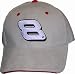 Dale Earnhardt Jr. Suede Driver Hat