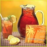 Summer Breeze Ginger Peach Iced Tea - 40 1 oz. Filter Packs