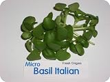 Micro Greens - Italian Basil - 4 x 8 oz