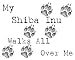 My Shiba Inu Walks All Over Me Apron