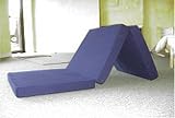 Tri Fold