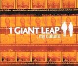My Culture [12" VINYL]