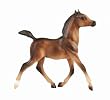 Footloose - Running Foal&nbsp;