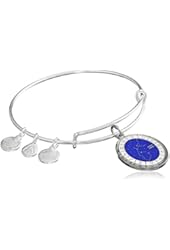 Alex and Ani Constellation Bangle Bracelet