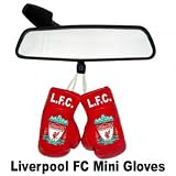 Liverpool FC Mini Boxing Gloves - Great For Car