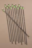 12 - Pk. Gold Tip Trophy Hunter HP Arrows
