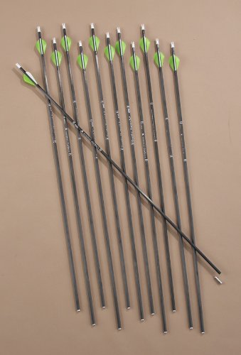 12 - Pk. Gold Tip Trophy Hunter HP Arrows