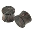 Fossil Insect Jasper Stone Plugs - 8G - Sold as a Pair