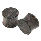 Fossil Insect Jasper Stone Plugs - 1/2'' - Sold as a Pair