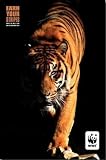 World Wildlife Fund - Tiger: Unknown. 22.00 inches by 34.00 inches. Art Print Poster