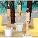 Bamboo (Case Of 12) Luau Party 11 Tabletop Citronella Tiki Torches