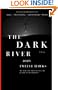 The Dark River: Book Two of the Fourth Realm Trilogy (Fourth Realm Trilogy, Book 2)