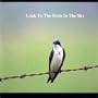 Look To The Birds In The Sky