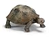 Schleich Giant turtle_s-2