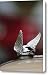 Chrysler Hood Ornament Canvas Print / Canvas Art - Artist Jill Reger