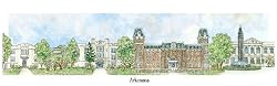 University of Arkansas - Collegiate Series - 11.5 x 24 Inch Print