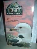 The Advanced Birding Video Series with Jon L. Dunn, Video 2: The Small Gulls of North America