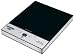 Waring Pro ICT100 Professional Induction Cooktop