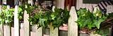 Ivy And Vine Lighted Garland Country D�cor