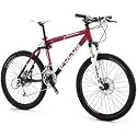 Focus First Expert Mountain Bike 2007 (X Large/54)