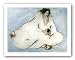 Mother and Child by R.C. Gorman 18"x25" Art Print Poster
