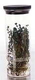Progressive International Herb Keeper